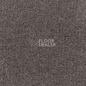 Ковролин Radici Admiral Charcoal 2205 фото 1 | FLOORDEALER